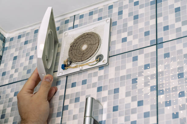 Best Air Duct Mold Removal  in Manteo, NC